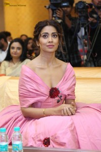 actress shriya saran in a low neck pink dress at a event