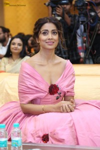 actress shriya saran in a low neck pink dress at a event