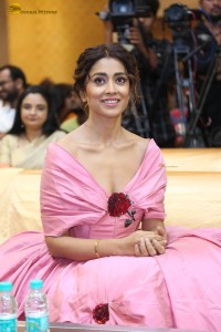 actress shriya saran in a low neck pink dress at a event