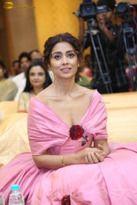 actress shriya saran in a low neck pink dress at a event