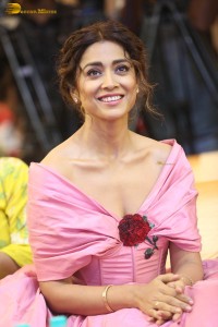 actress shriya saran in a low neck pink dress at a event