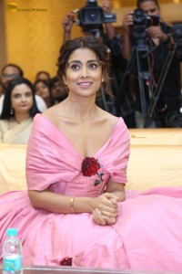 actress shriya saran in a low neck pink dress at a event