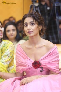 actress shriya saran in a low neck pink dress at a event