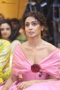 actress shriya saran in a low neck pink dress at a event