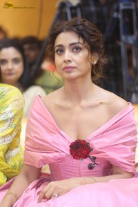 actress shriya saran in a low neck pink dress at a event