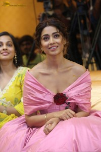 actress shriya saran in a low neck pink dress at a event