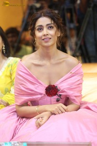 actress shriya saran in a low neck pink dress at a event