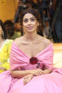 actress shriya saran in a low neck pink dress at a event