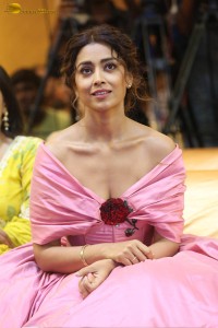 Shriya Saran Picture Gallery 18