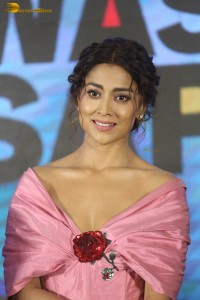 actress shriya saran in a low neck pink dress at a event