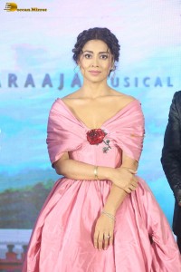 actress shriya saran in a low neck pink dress at a event
