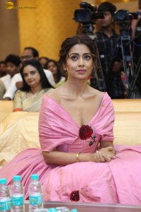 actress shriya saran in a low neck pink dress at a event