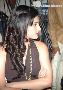 Shruti Haasan in a brown dress