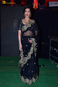 Shruti Haasan ravishing looks in a black saree at a movie function