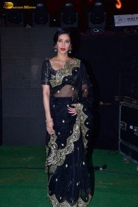 Shruti Haasan ravishing looks in a black saree at a movie function