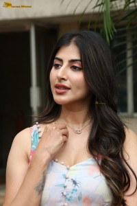 actress Shweta Avasthi ravishing looks in a photoshoot