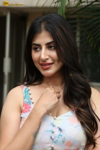 actress Shweta Avasthi ravishing looks in a photoshoot