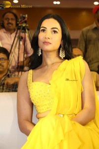 actress Sonal Chauhan beautiful in a yellow saree