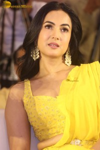 actress Sonal Chauhan beautiful in a yellow saree