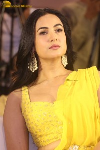 actress Sonal Chauhan beautiful in a yellow saree