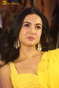 actress Sonal Chauhan beautiful in a yellow saree