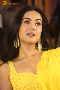 actress Sonal Chauhan beautiful in a yellow saree
