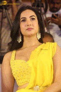 actress Sonal Chauhan beautiful in a yellow saree