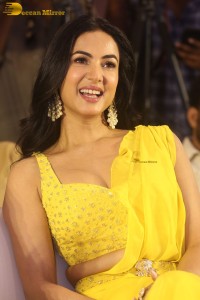 actress Sonal Chauhan beautiful in a yellow saree