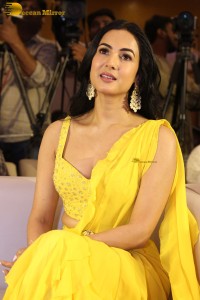 actress Sonal Chauhan beautiful in a yellow saree