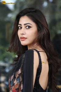 tollywood actress sonu thakur gorgeous in a saree