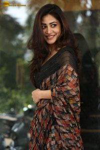 tollywood actress sonu thakur gorgeous in a saree