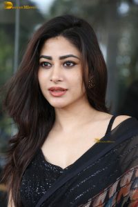 tollywood actress sonu thakur gorgeous in a saree