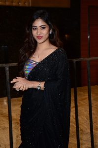 telugu actress sonu thakur gorgeous in a black saree