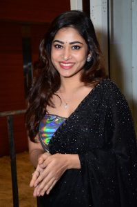 telugu actress sonu thakur gorgeous in a black saree