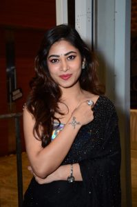 telugu actress sonu thakur gorgeous in a black saree