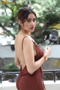 Indian actress Sony Charishta glamorous photo shoot