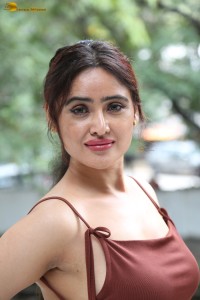 Indian actress Sony Charishta glamorous photo shoot