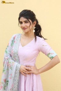 actress sreeleela cute in a pink salwar