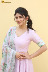 actress sreeleela cute in a pink salwar