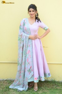 actress sreeleela cute in a pink salwar