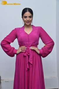 Popular anchor and actress Sreemukhi photoshoot in a pink dress