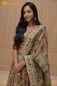Actress Srinidhi Shetty in a gold color Lehenga Choli while attending the Pre-release function of the movie KGF Chapter 2