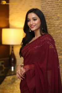 Srinidhi-Shetty-29