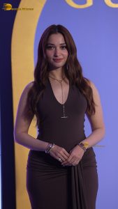 actress tamannaah bhatia pretty in a brown dress