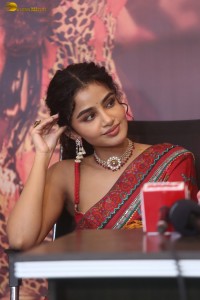 Tillu Square Success Meet attended by Siddhu Jonnalagadda and Anupama Parameswaran