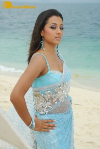 Actress Trisha in a blue saree