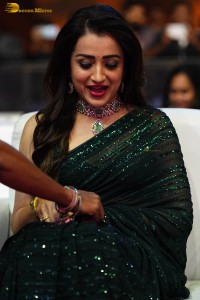 Indian actress trisha shines in a green saree at a movie event