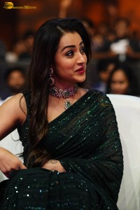 Indian actress trisha shines in a green saree at a movie event