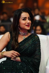 Indian actress trisha shines in a green saree at a movie event