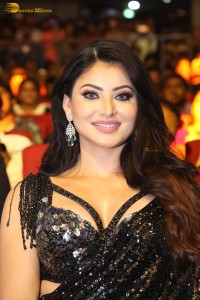 actress urvashi rautela glamorous look in a black saree at bro movie function